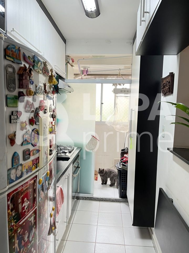 apartamento-venda-sao-paulo-vila-mendes-2dormitorios-1vaga-45m2-LS39800