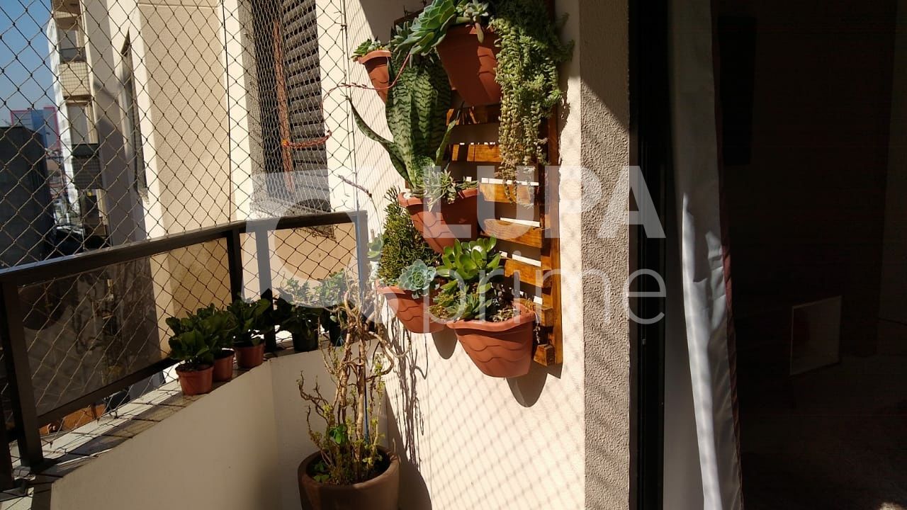apartamento-venda-sao-paulo-jardim-leonor-mendes-de-barros-3dormitorios-1suite-2vagas-95m2-LS39844