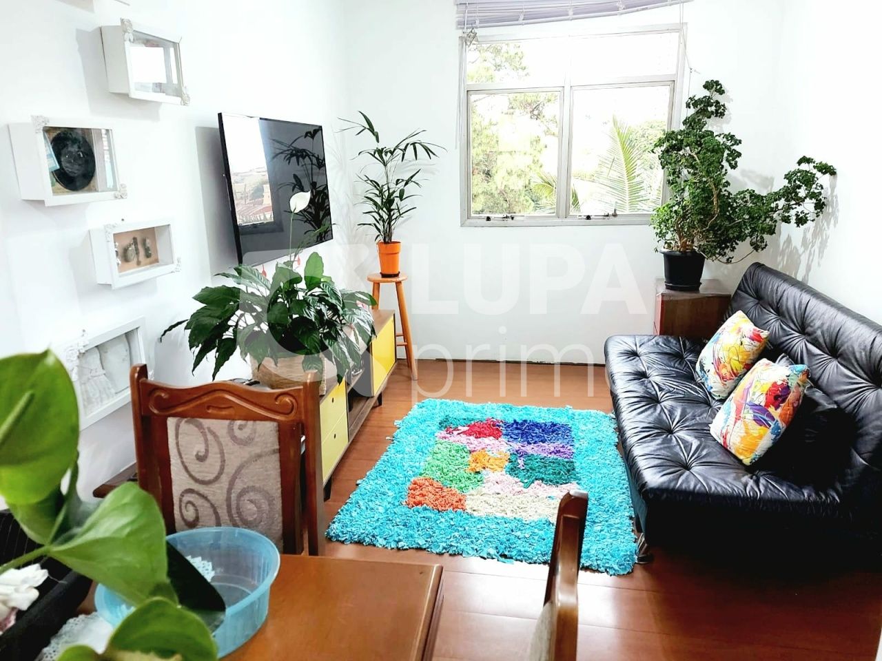 apartamento-venda-sao-paulo-lauzane-paulista-2dormitorios-1vaga-56m2-LS39889