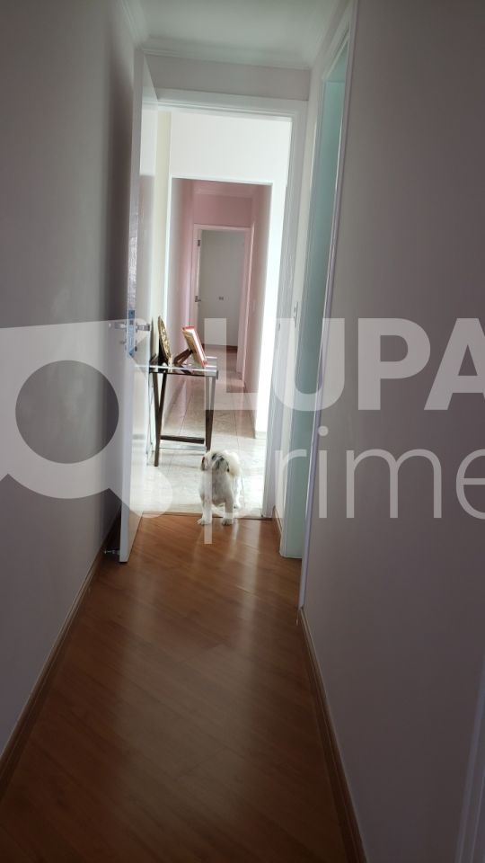 sobrado-venda-sao-paulo-vila-santa-terezinha-zona-norte-3dormitorios-1suite-4vagas-212m2-LS39927