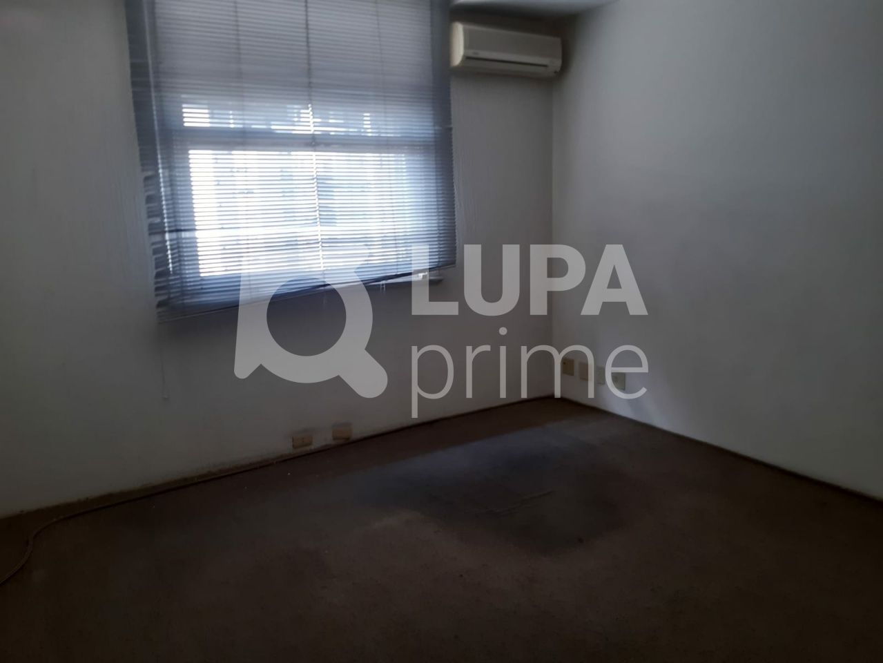 Sala-Conjunto, 260 m² - Foto 6