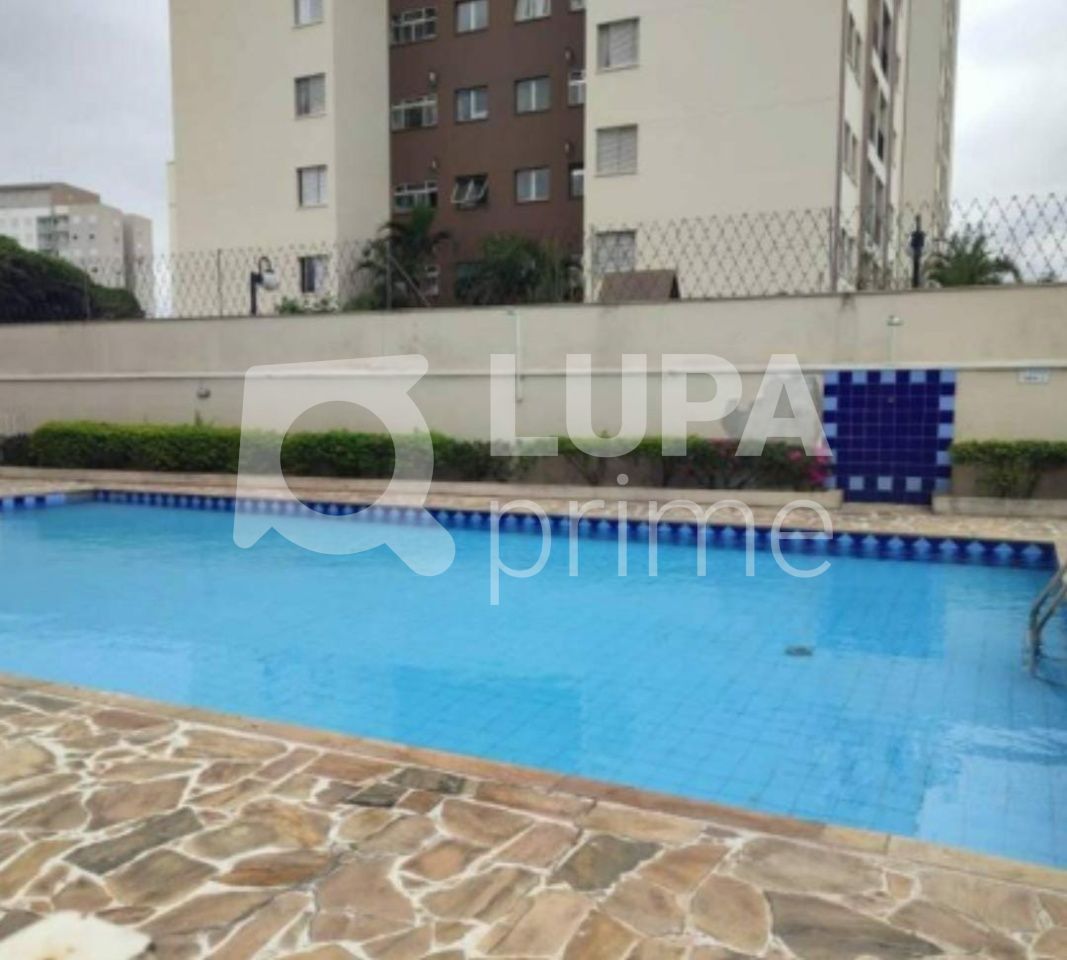Apartamento, 3 quartos, 80 m² - Foto 1