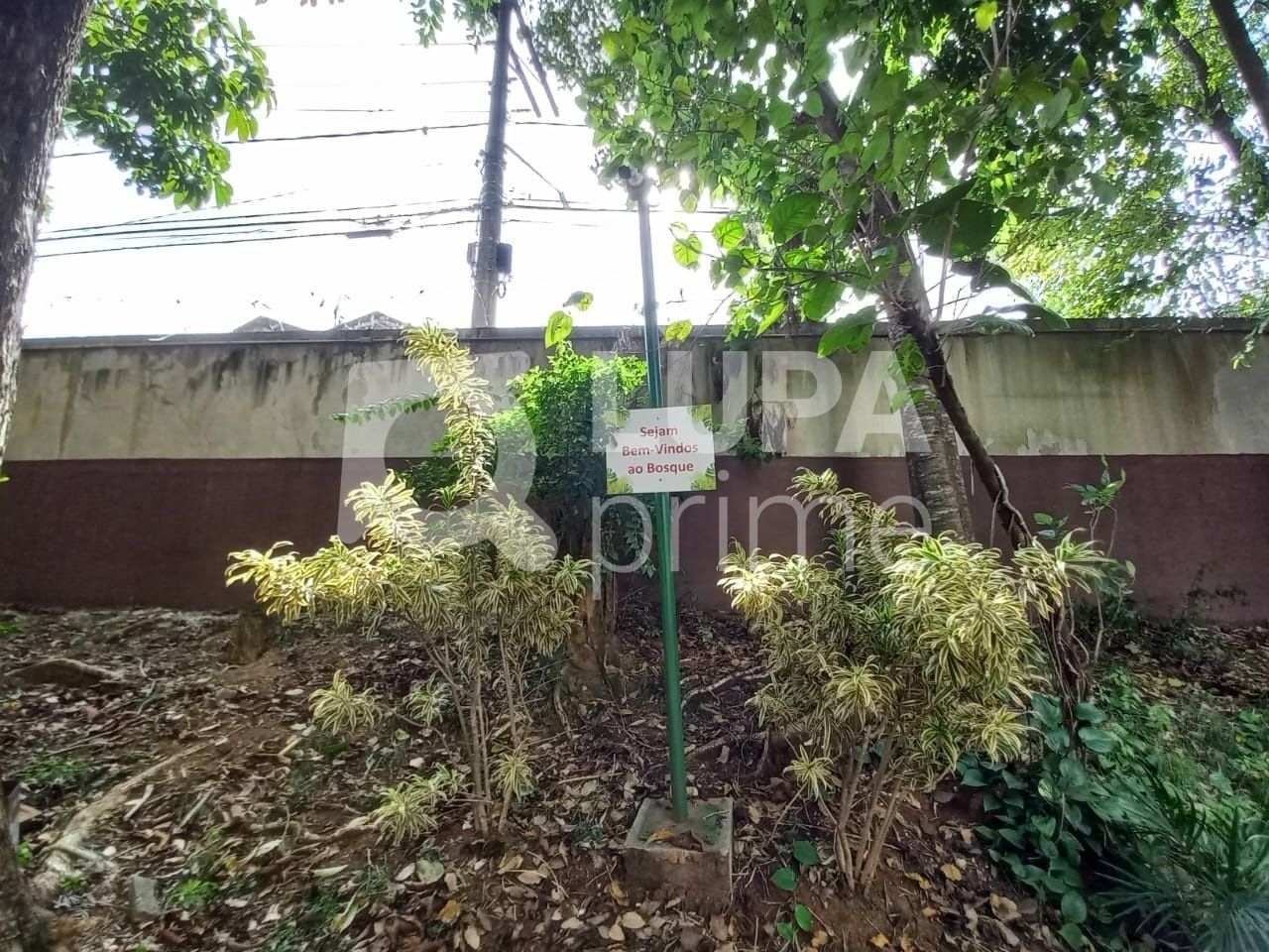 apartamento-venda-sao-paulo-jardim-brasil-2dormitorios-1suite-1vaga-53m2-LS40017