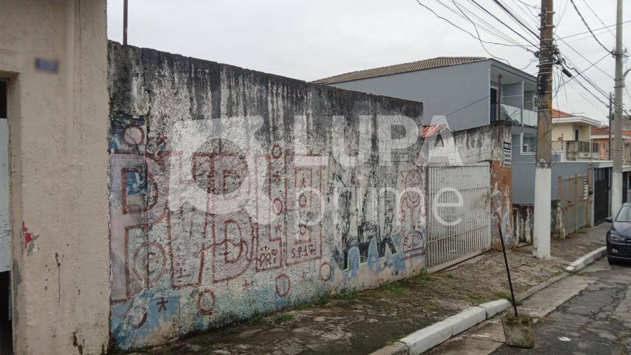 terreno-venda-sao-paulo-vila-constanca-800m2-LS40127