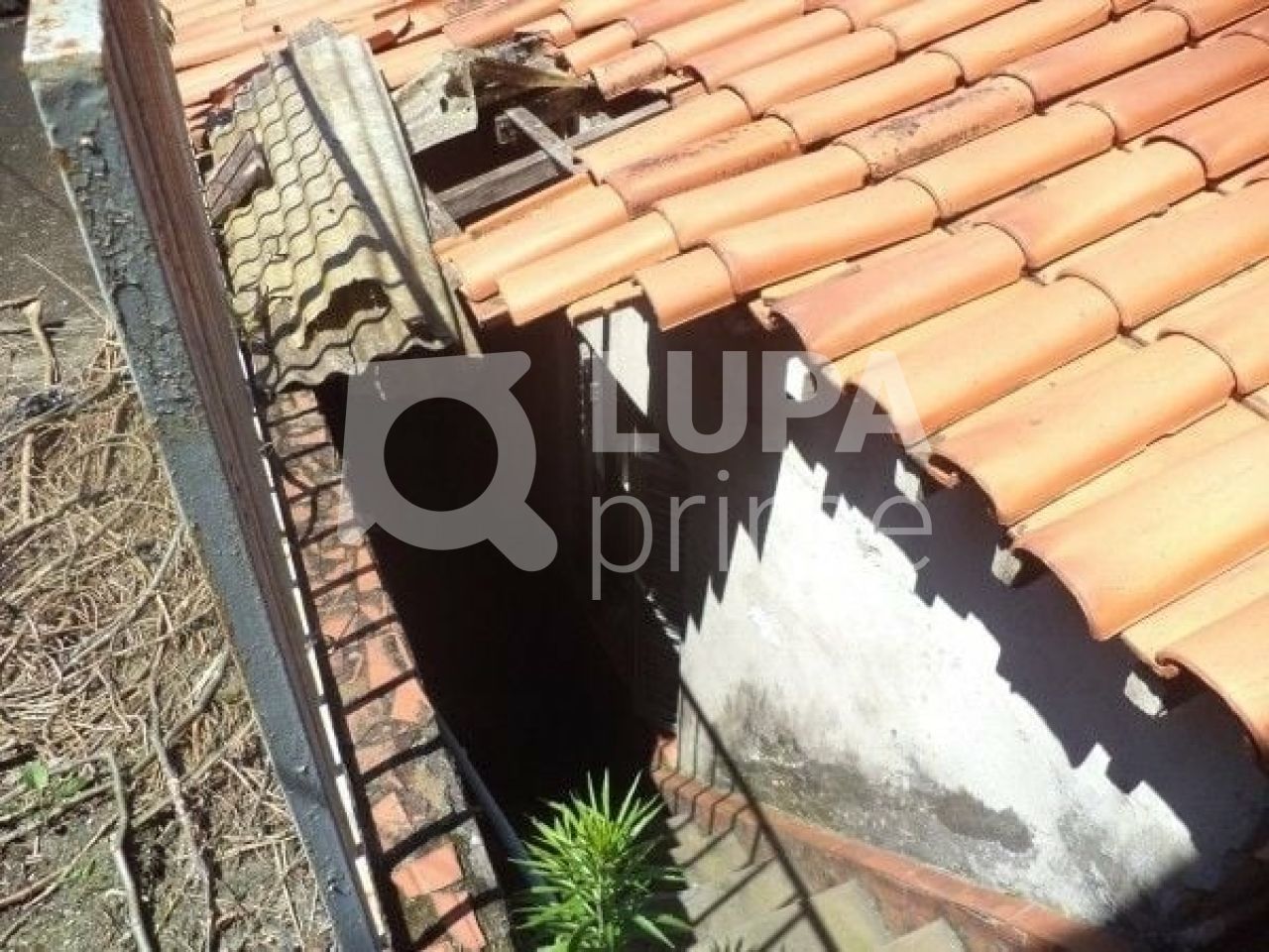 sobrado-venda-sao-paulo-vila-maria-alta-2dormitorios-2vagas-88m2-LS40168