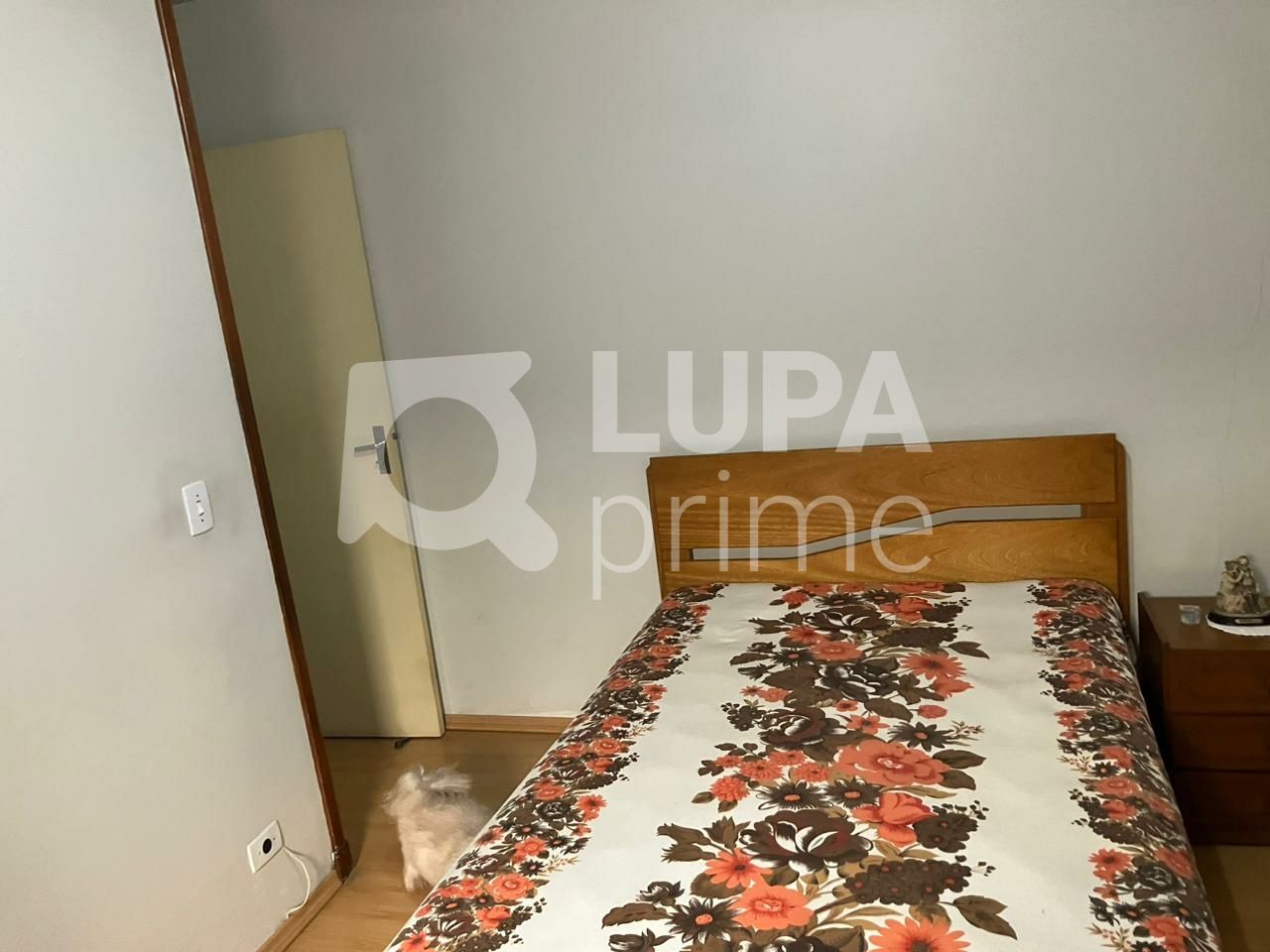 casa-terrea-venda-sao-paulo-vila-santa-terezinha-zona-norte-3dormitorios-1suite-2vagas-131m2-LS40201