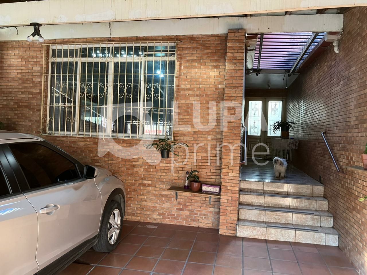 casa-terrea-venda-sao-paulo-vila-santa-terezinha-zona-norte-3dormitorios-1suite-2vagas-131m2-LS40201