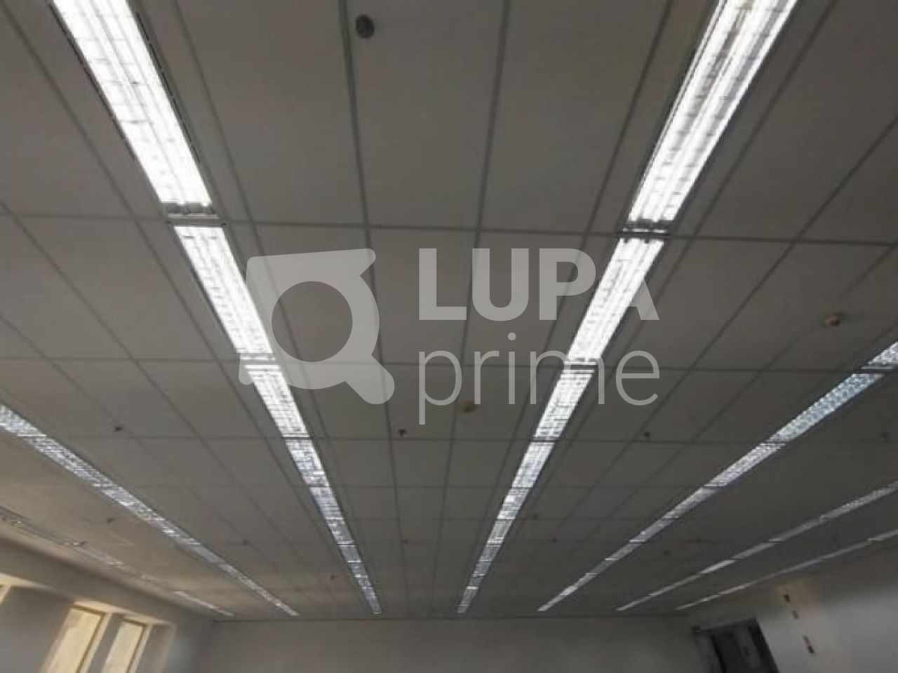 conj-comercial-locacao-sao-paulo-vila-olimpia-304m2-LS40238