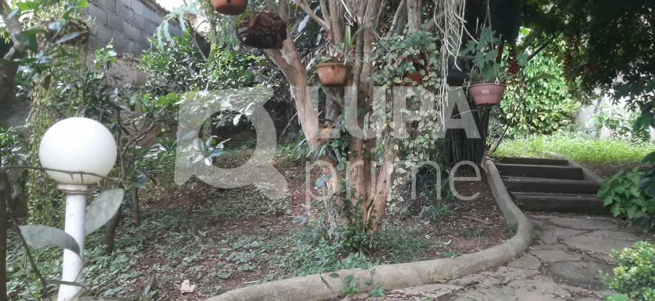 casa-terrea-venda-sao-paulo-horto-florestal-2dormitorios-1suite-5vagas-420m2-LS40241