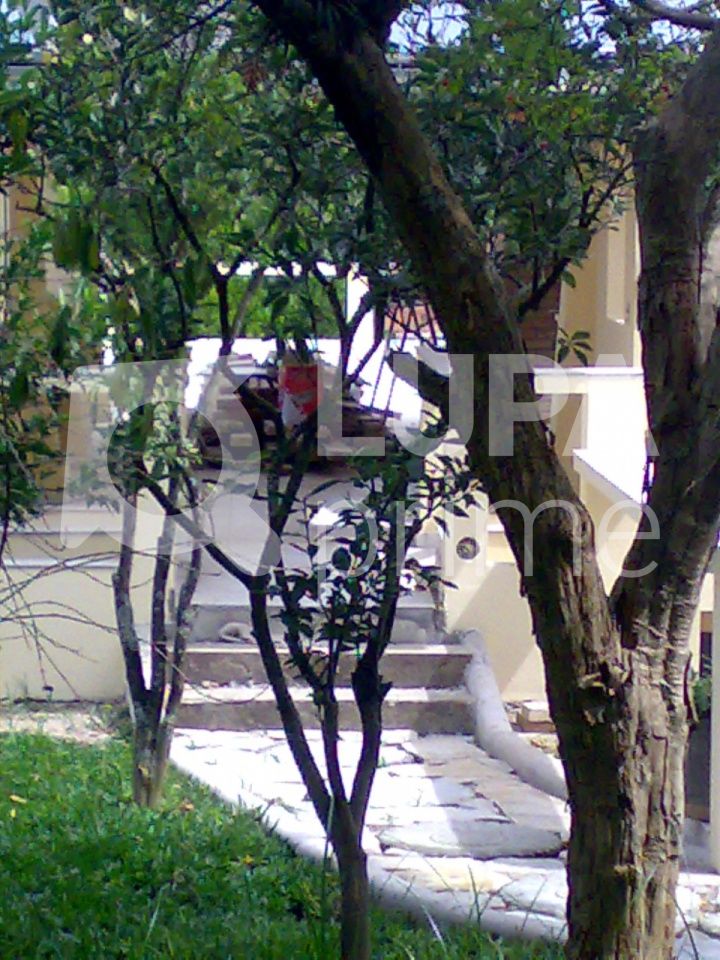 casa-terrea-venda-sao-paulo-horto-florestal-2dormitorios-1suite-5vagas-420m2-LS40241