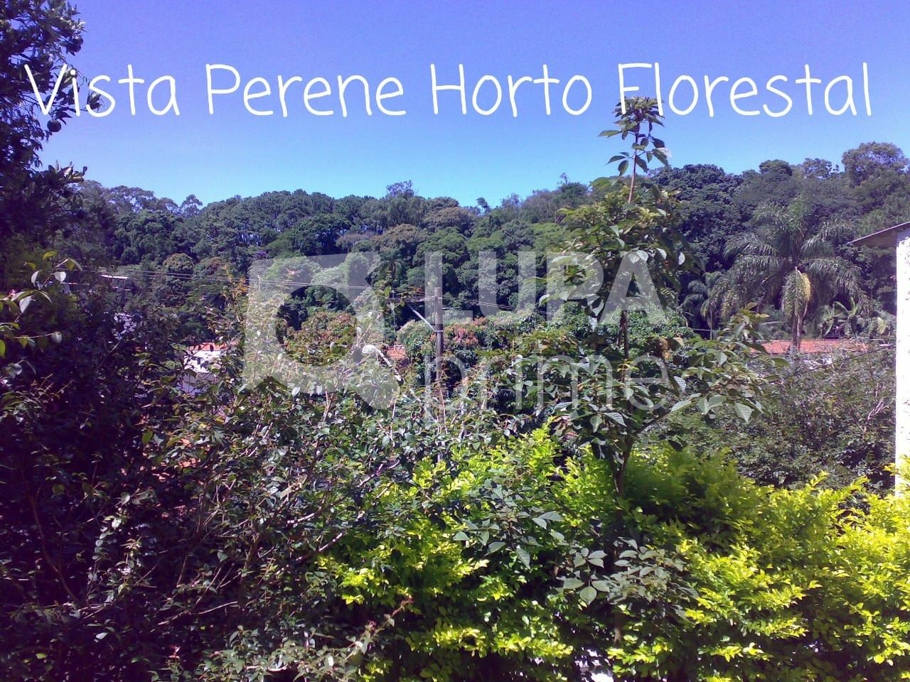 casa-terrea-venda-sao-paulo-horto-florestal-2dormitorios-1suite-5vagas-420m2-LS40241