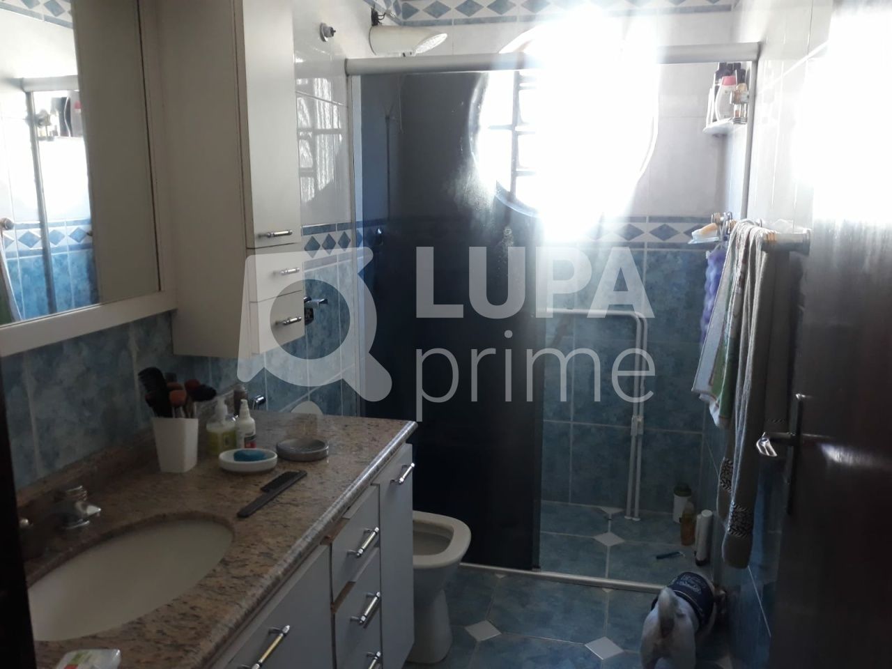 sobrado-venda-sao-paulo-vila-gustavo-3dormitorios-1suite-4vagas-146m2-LS40243