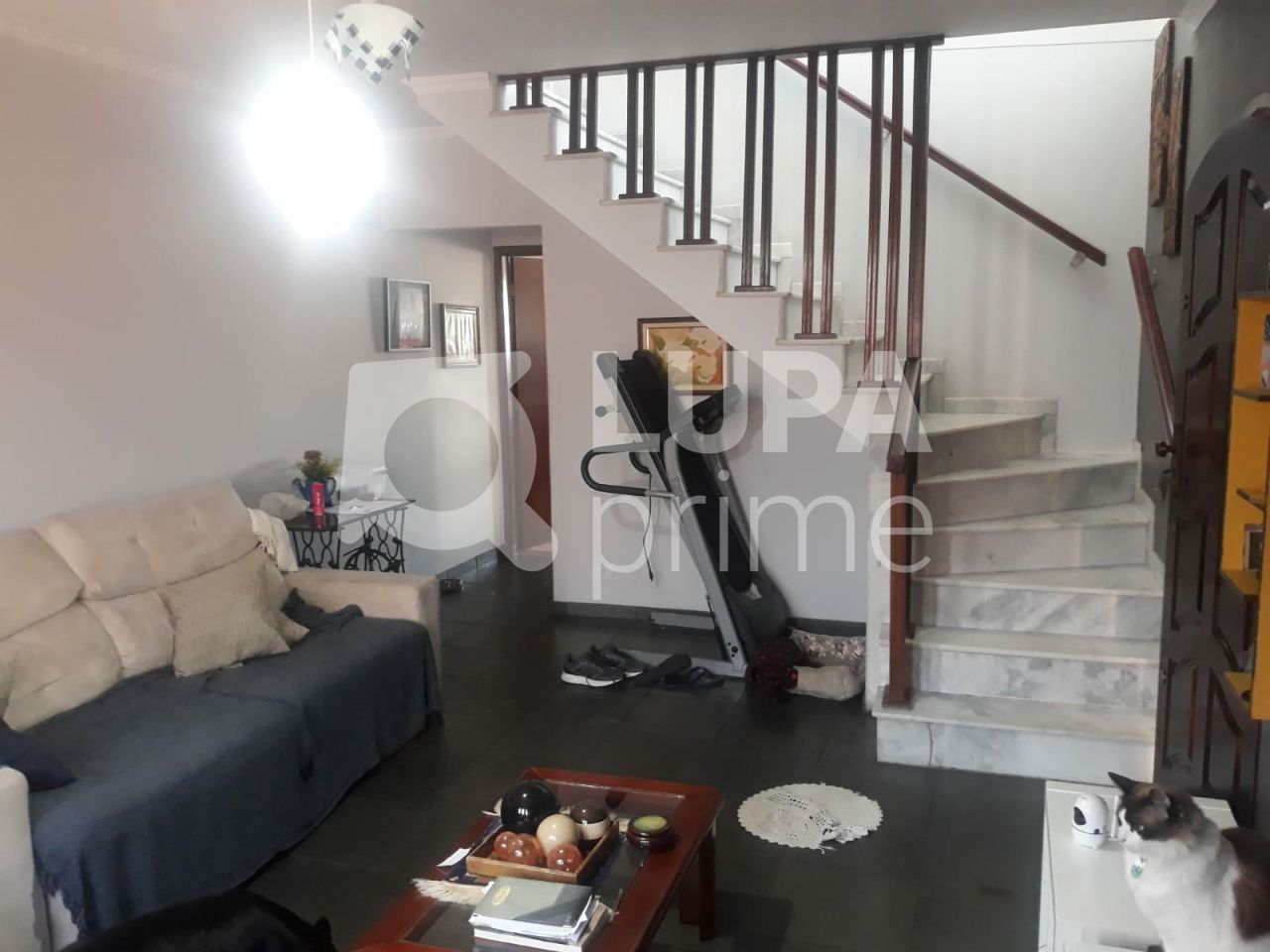 sobrado-venda-sao-paulo-vila-gustavo-3dormitorios-1suite-4vagas-146m2-LS40243