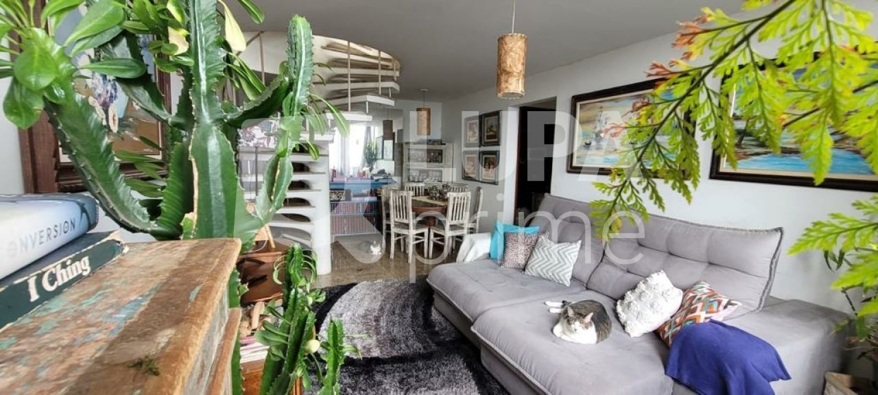 apartamento-venda-sao-paulo-barro-branco-3dormitorios-1suite-1vaga-144m2-LS40269