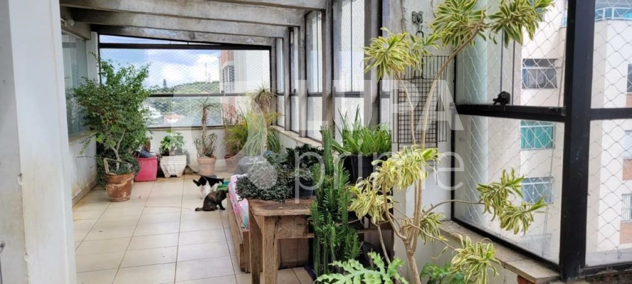 apartamento-venda-sao-paulo-barro-branco-3dormitorios-1suite-1vaga-144m2-LS40269