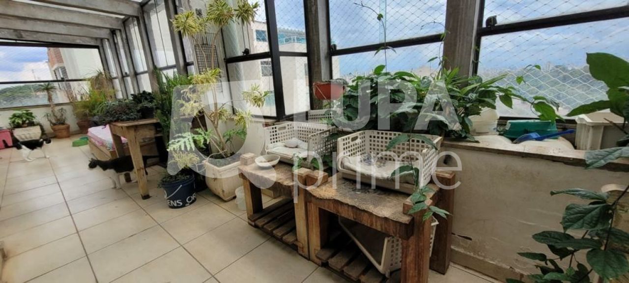 apartamento-venda-sao-paulo-barro-branco-3dormitorios-1suite-1vaga-144m2-LS40269