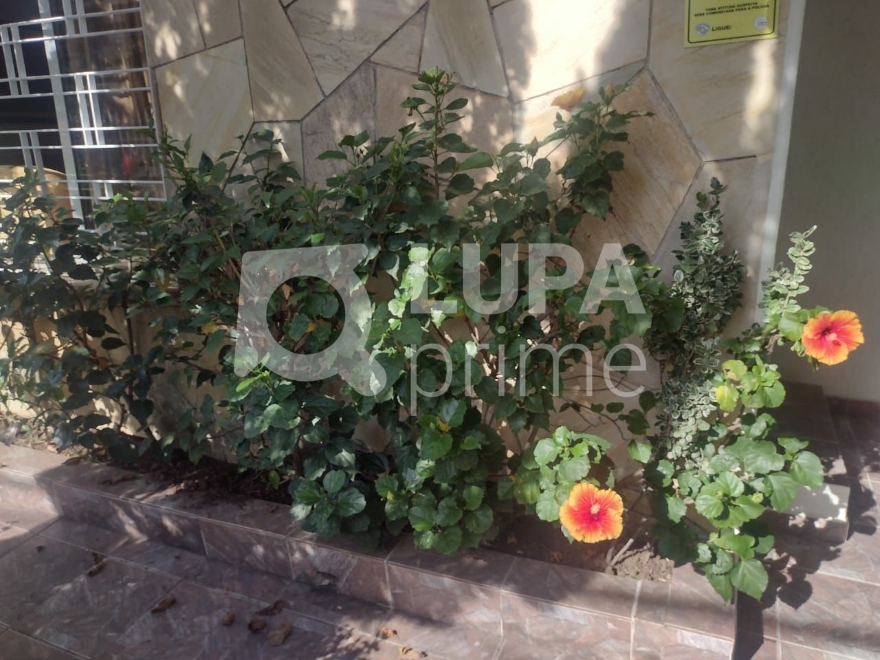 casa-terrea-venda-sao-paulo-jardim-franca-4dormitorios-3suites-2vagas-210m2-LS40332