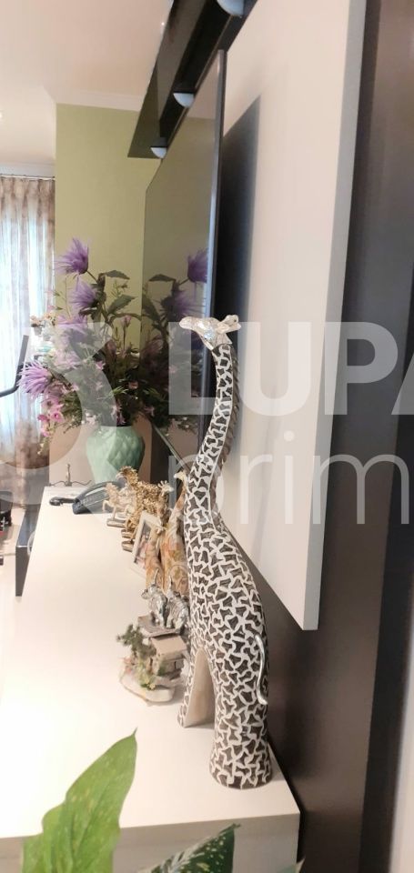 sobrado-venda-sao-paulo-jardim-sao-paulo-5dormitorios-5suites-4vagas-172m2-LS40401