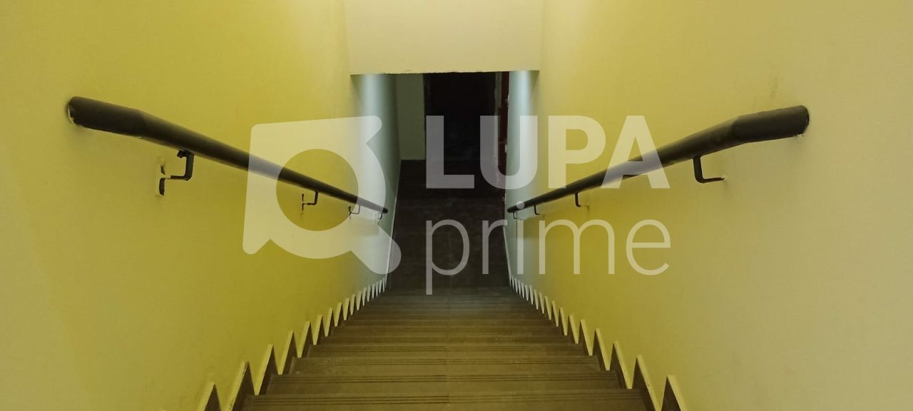 predio-locacao-sao-paulo-tucuruvi-12vagas-650m2-LS40407