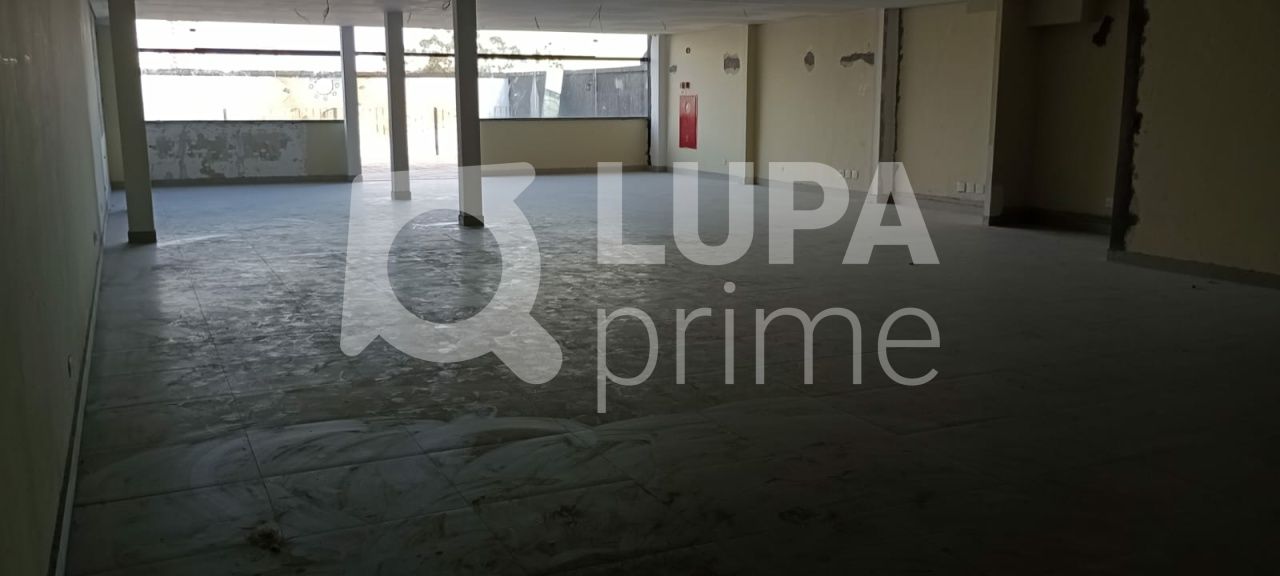 predio-locacao-sao-paulo-tucuruvi-12vagas-650m2-LS40407