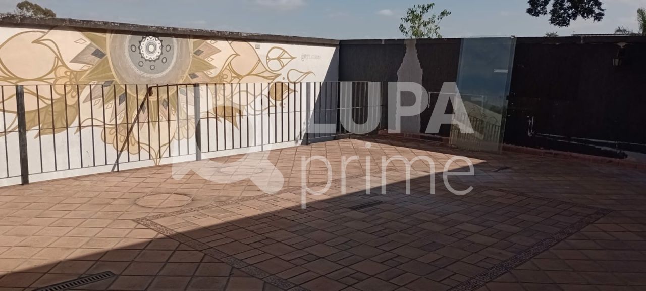 predio-locacao-sao-paulo-tucuruvi-12vagas-650m2-LS40407