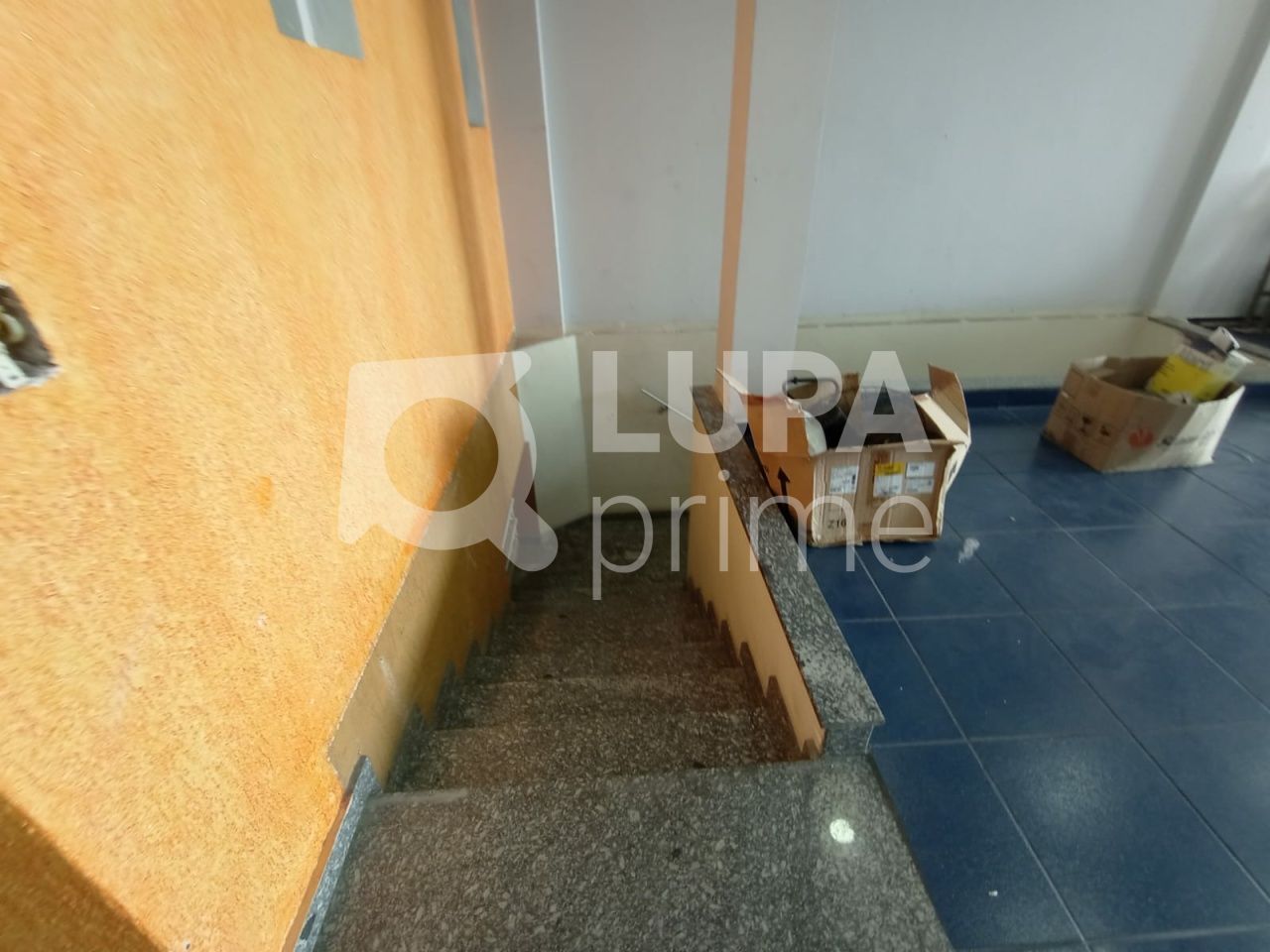 predio-locacao-sao-paulo-tucuruvi-400m2-LS40422