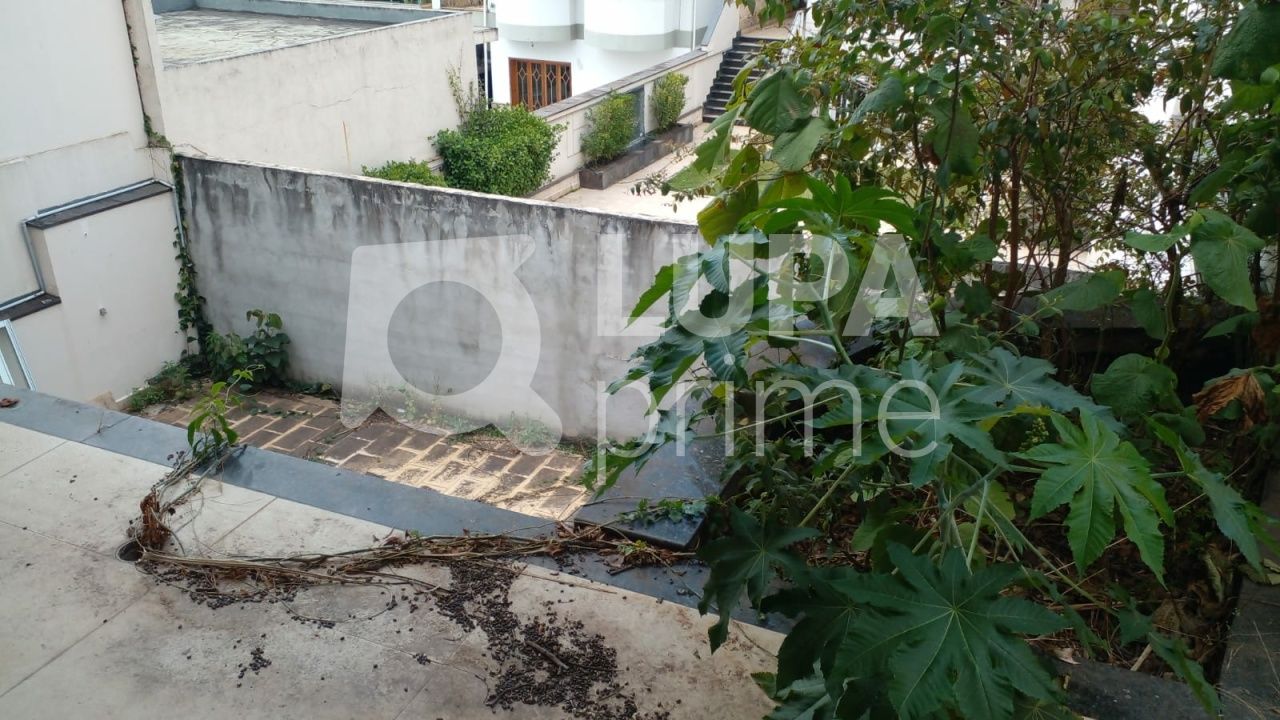 terreno-venda-sao-paulo-vila-albertina-462m2-LS40438