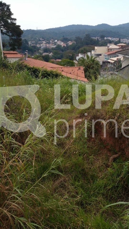 terreno-venda-sao-paulo-vila-albertina-462m2-LS40438