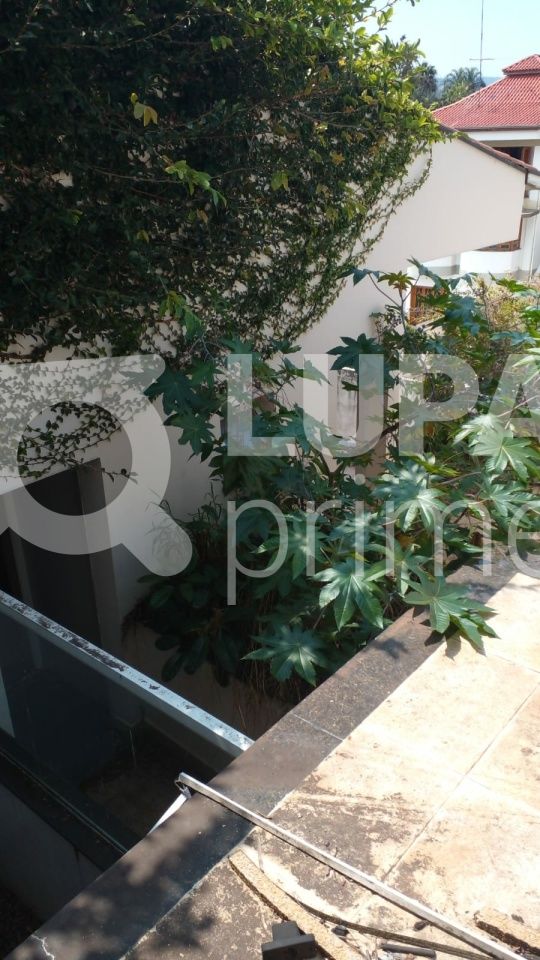 terreno-venda-sao-paulo-vila-albertina-462m2-LS40438