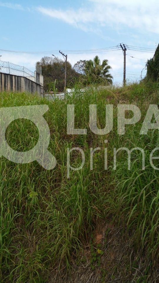 terreno-venda-sao-paulo-vila-albertina-462m2-LS40438