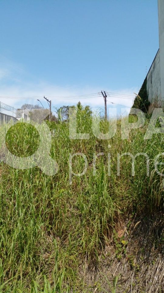 terreno-venda-sao-paulo-vila-albertina-462m2-LS40438