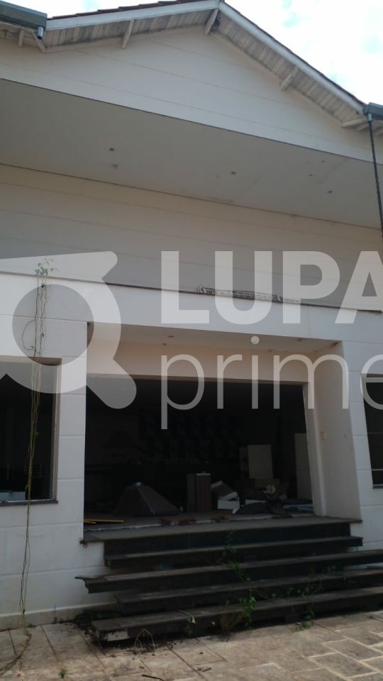 terreno-venda-sao-paulo-vila-albertina-462m2-LS40438