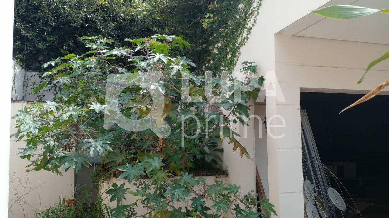 terreno-venda-sao-paulo-vila-albertina-462m2-LS40438