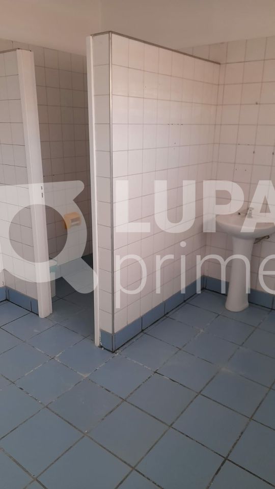 predio-locacao-sao-paulo-vila-taquari-200m2-LS40519