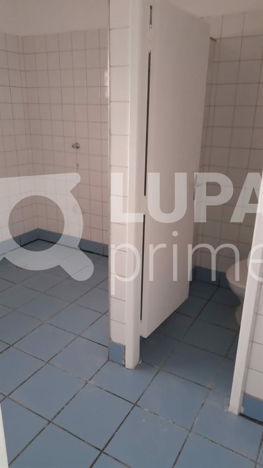 predio-locacao-sao-paulo-vila-taquari-200m2-LS40519