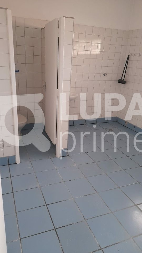 predio-locacao-sao-paulo-vila-taquari-200m2-LS40519