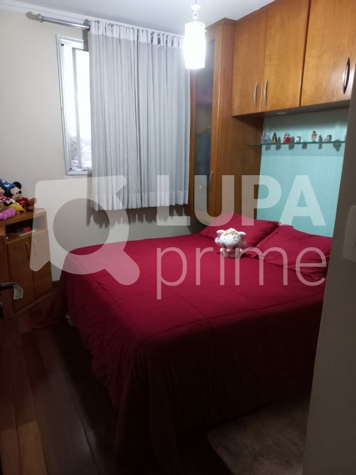 apartamento-venda-sao-paulo-vila-nova-cachoeirinha-3dormitorios-1vaga-64m2-LS40547