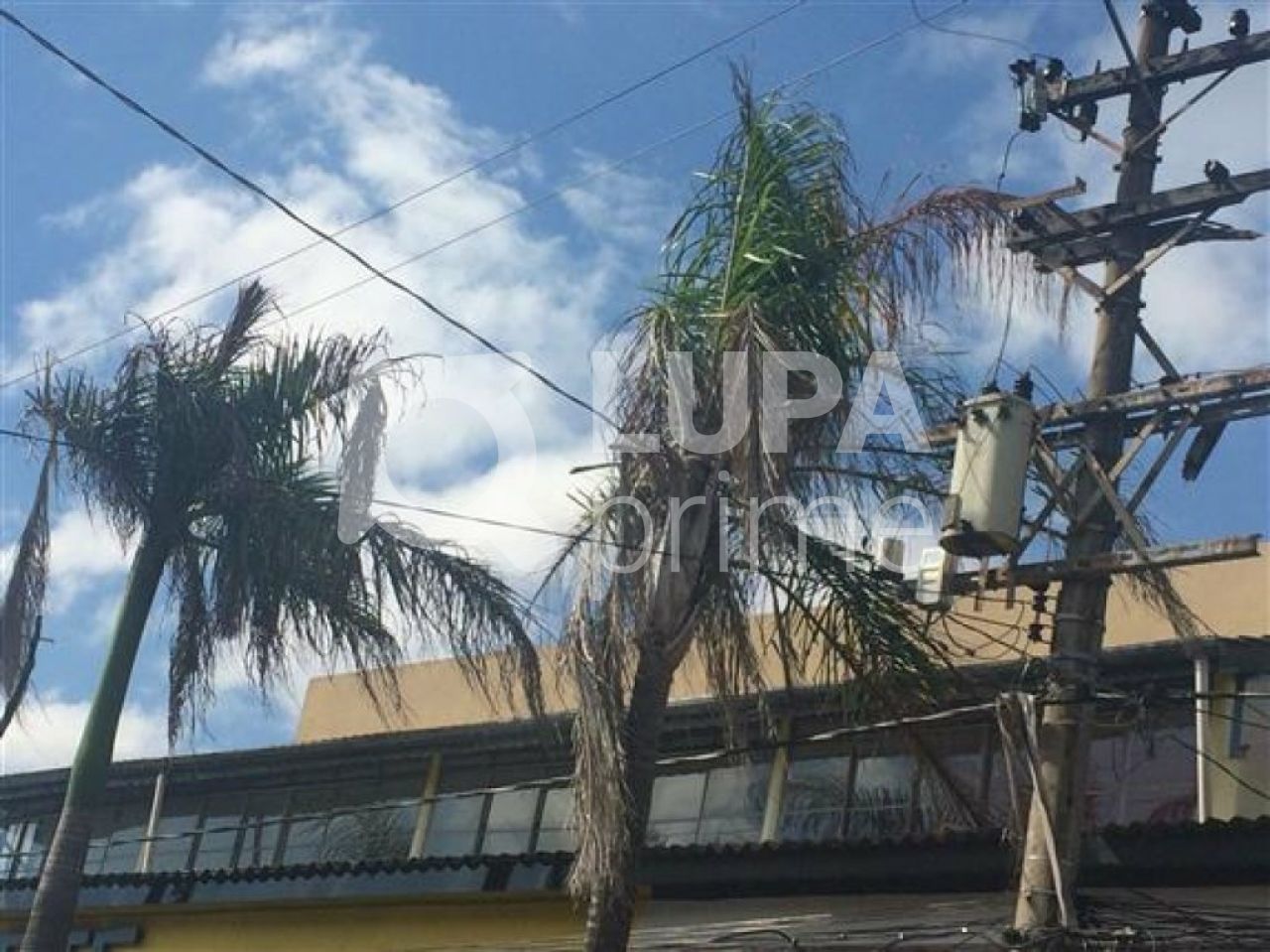Loja-Salão, 200 m² - Foto 9
