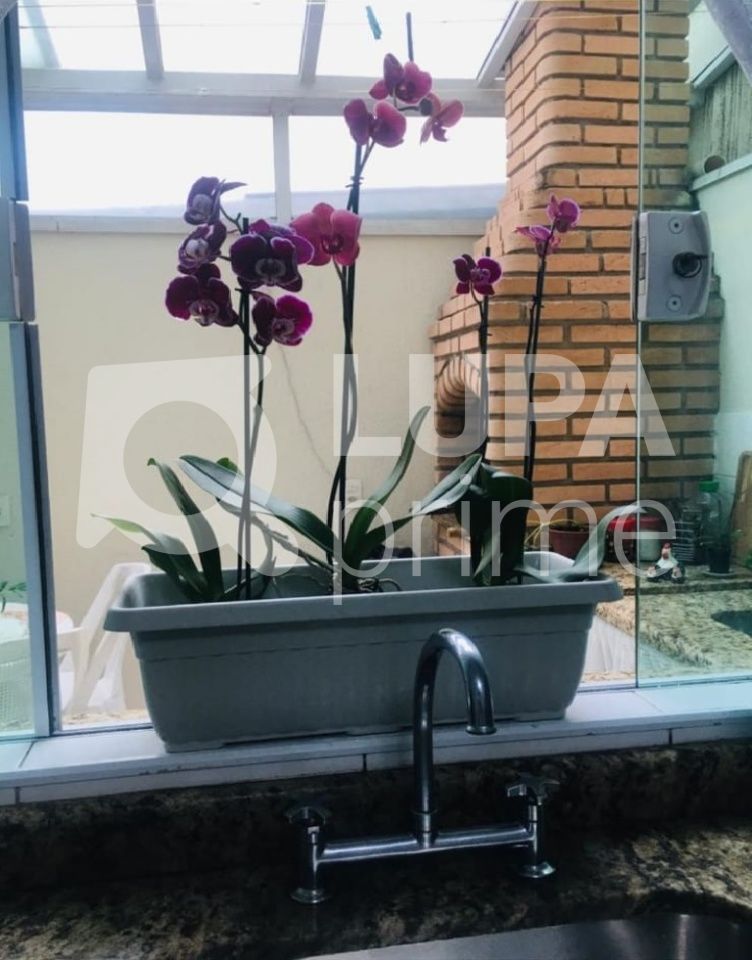 sobrado-venda-sao-paulo-vila-constanca-3dormitorios-1suite-1vaga-150m2-LS40648