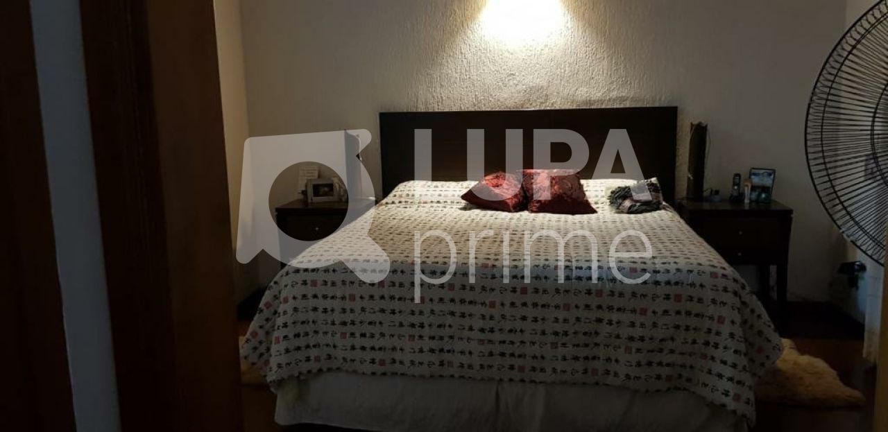 Casa, 3 quartos, 430 m² - Foto 12