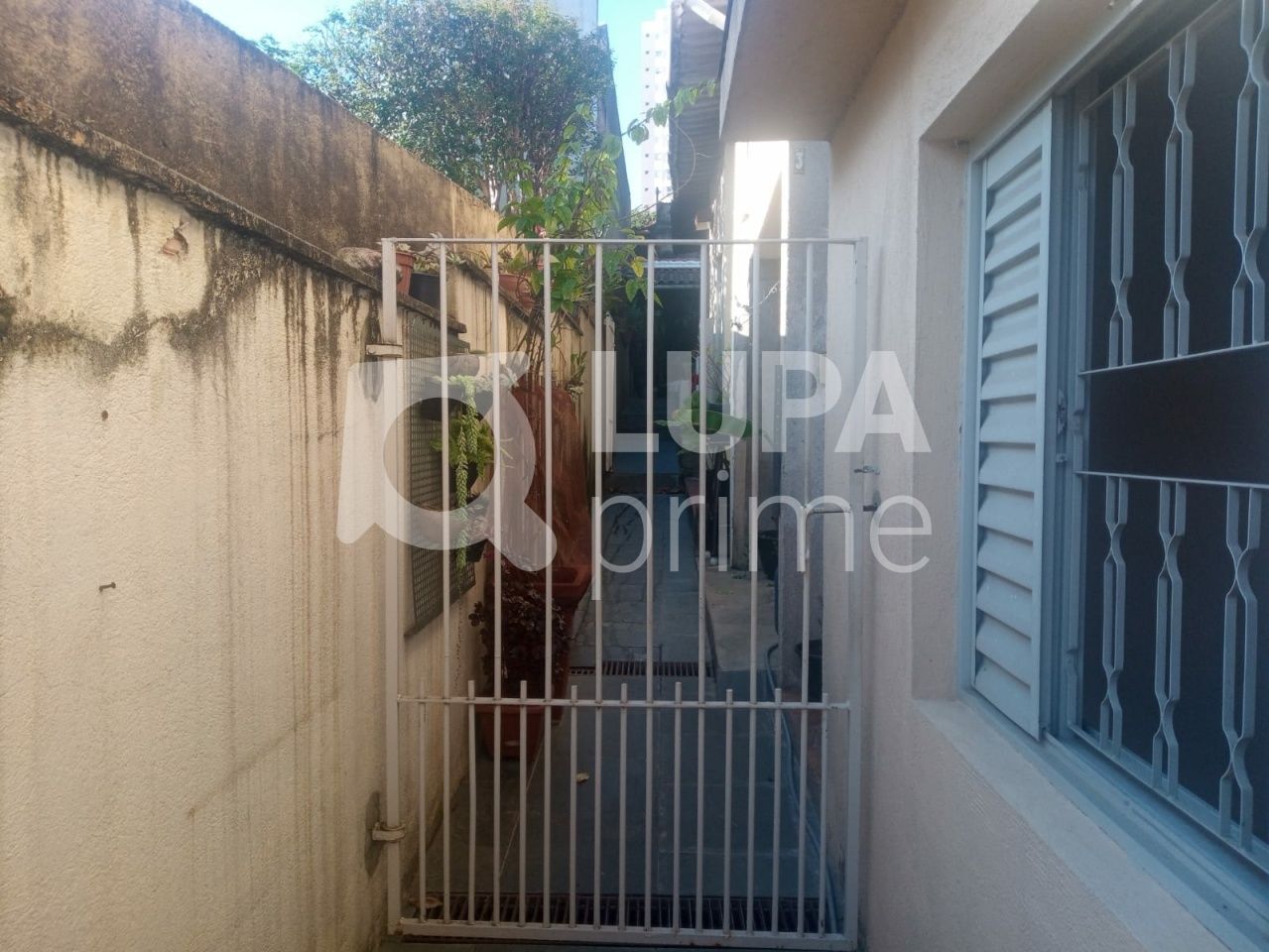 sobrado-venda-sao-paulo-santa-teresinha-6dormitorios-300m2-LS40690