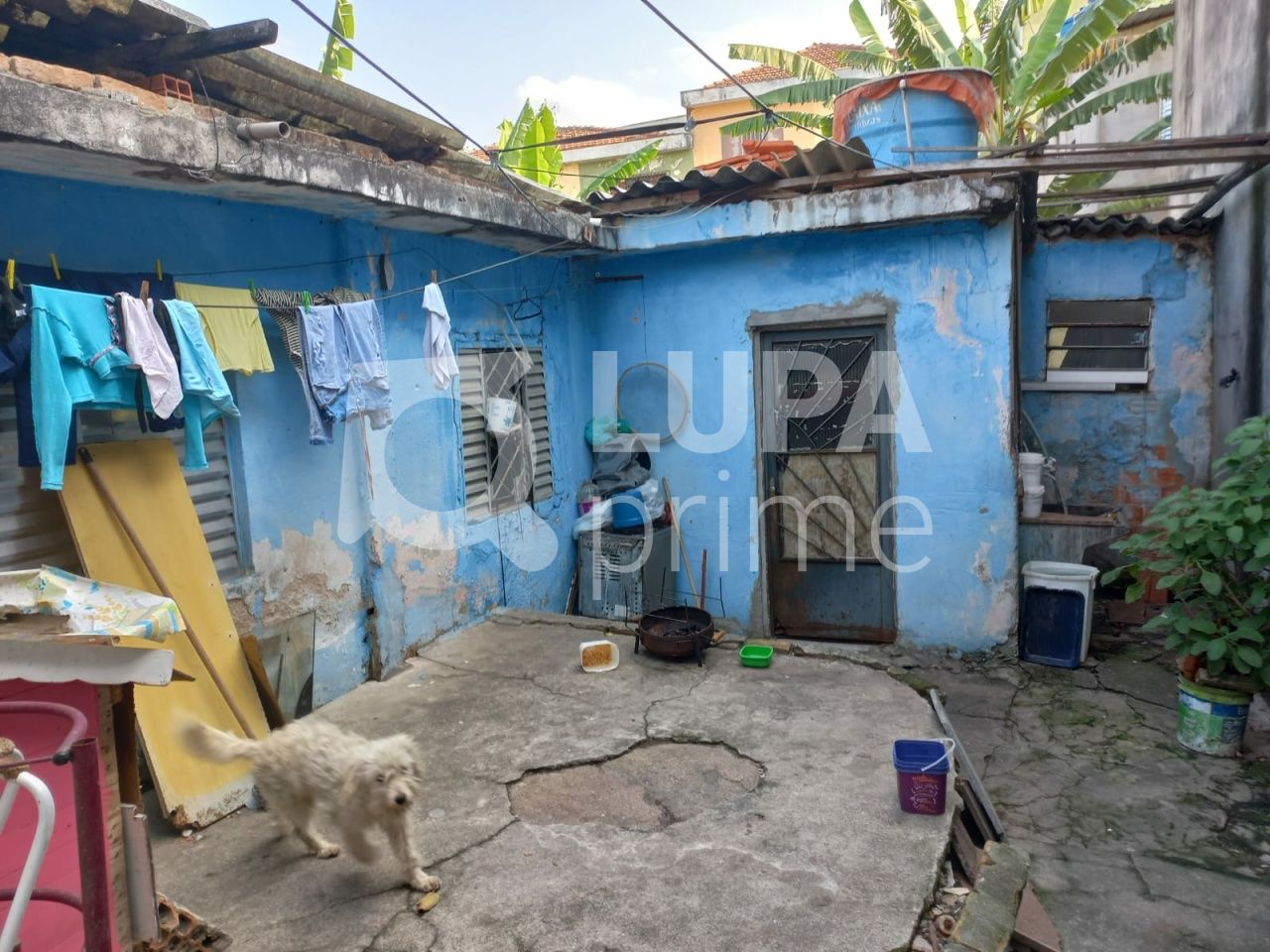 casa-terrea-venda-sao-paulo-vila-santa-maria-4dormitorios-5vagas-200m2-LS40756