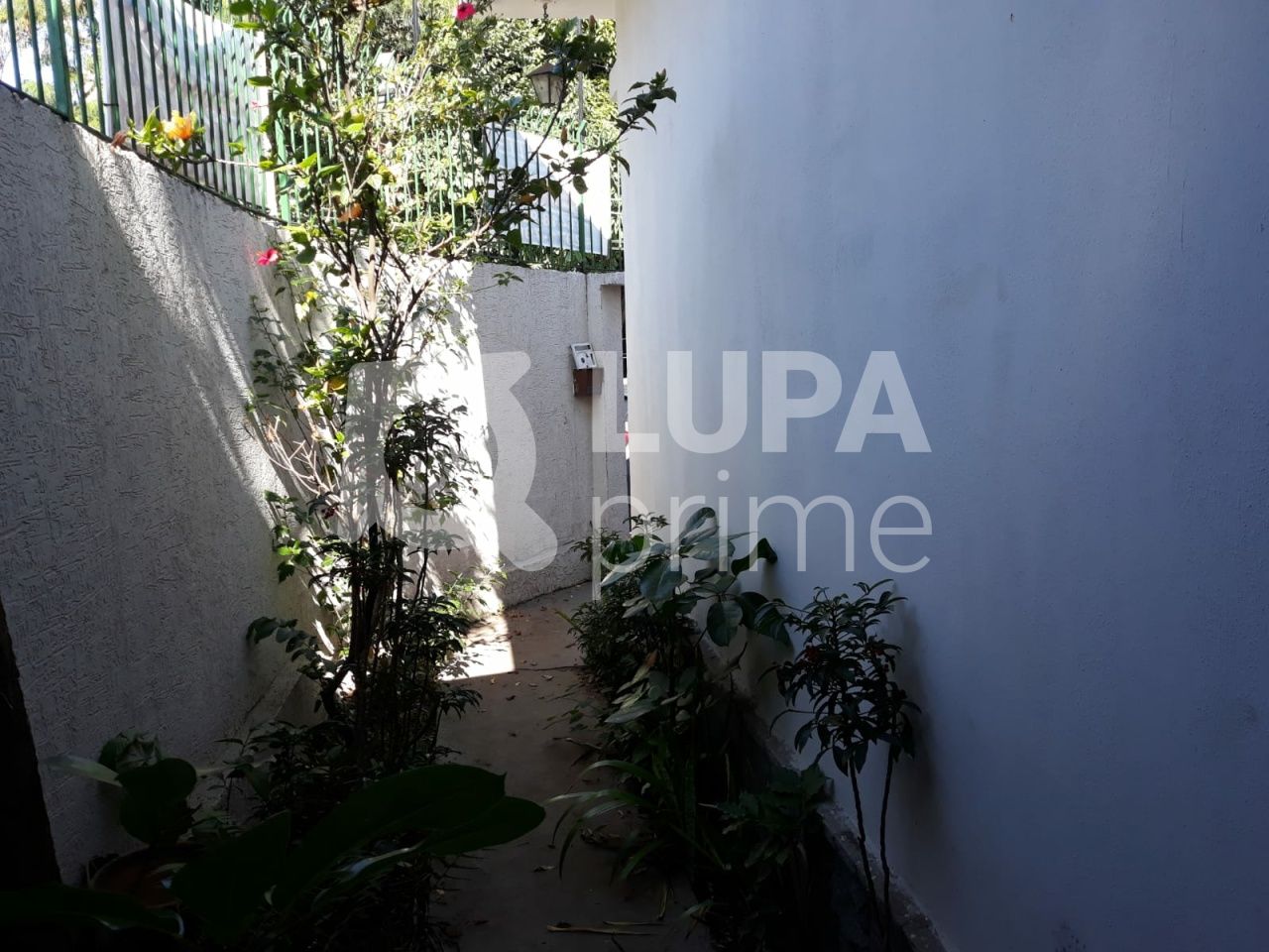 casa-terrea-venda-sao-paulo-jardim-franca-3dormitorios-1suite-3vagas-208m2-LS40759