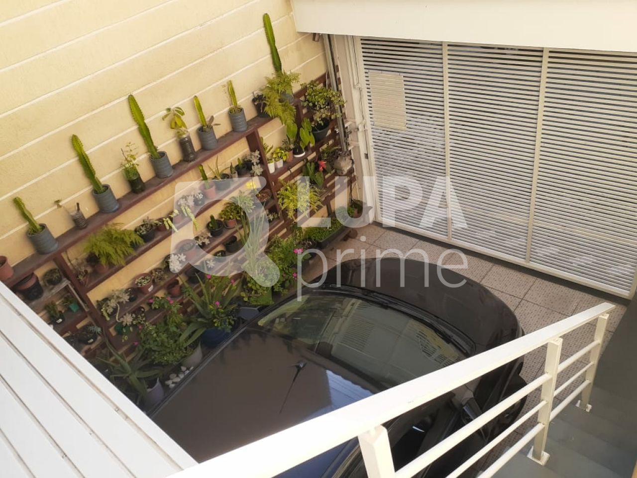 sobrado-venda-sao-paulo-parada-inglesa-3dormitorios-2suites-3vagas-249m2-LS40760