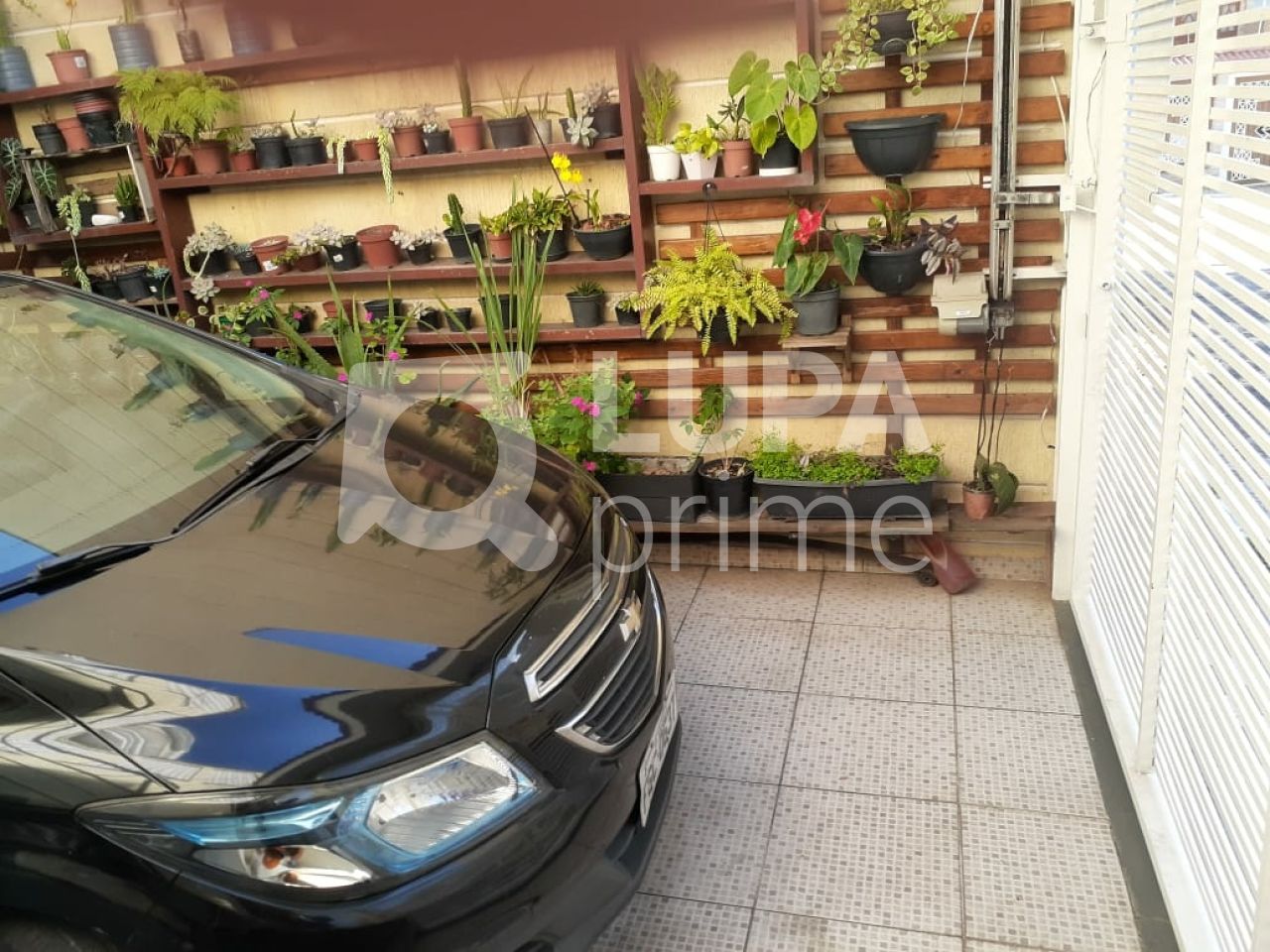 sobrado-venda-sao-paulo-parada-inglesa-3dormitorios-2suites-3vagas-249m2-LS40760