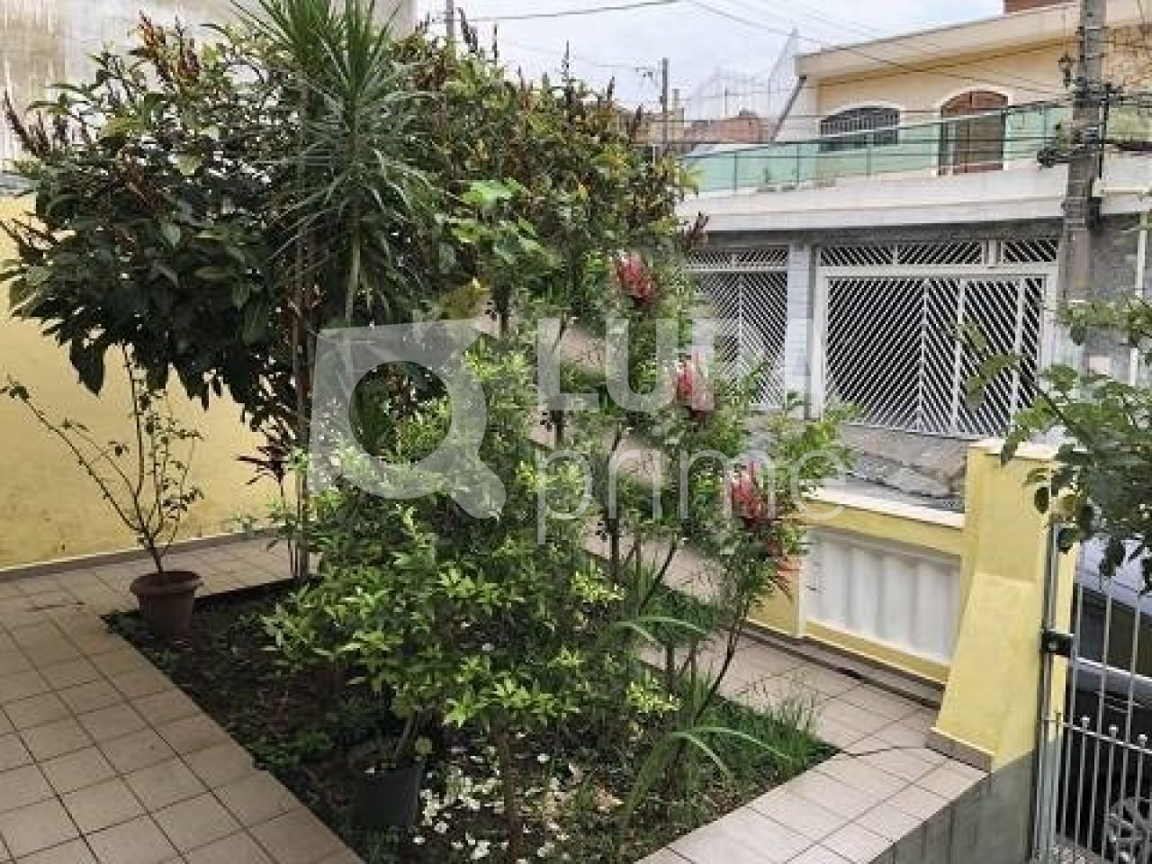 casa-terrea-venda-sao-paulo-vila-medeiros-2dormitorios-5vagas-220m2-LS40764