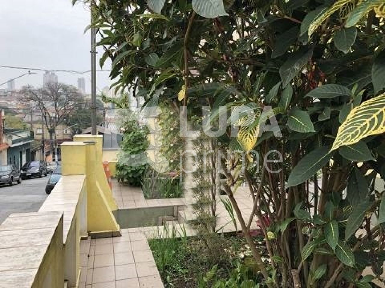 casa-terrea-venda-sao-paulo-vila-medeiros-2dormitorios-5vagas-220m2-LS40764