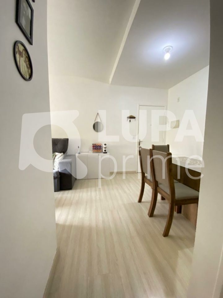 apartamento-venda-sao-paulo-vila-roque-2dormitorios-1vaga-59m2-LS40782