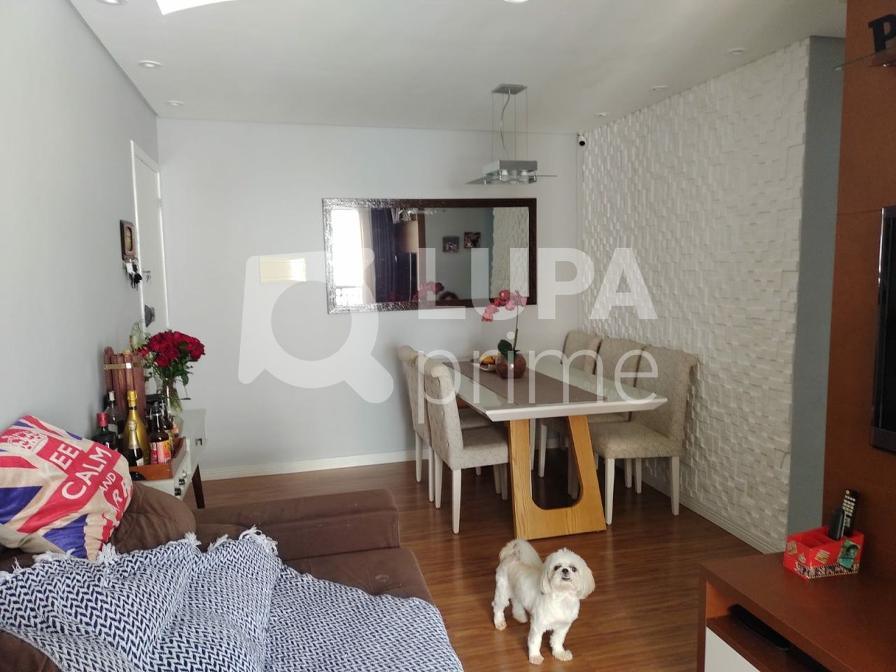 apartamento-venda-sao-paulo-jardim-peri-2dormitorios-1vaga-54m2-LS40783