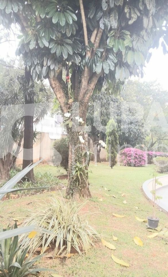 apartamento-venda-sao-paulo-santana-1dormitorio-1vaga-43m2-LS40833